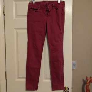 Loft Skinny Jeans